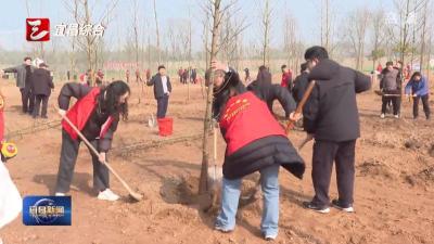 爱绿植绿护绿 共赴春日约定