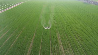 无人机飞防护航小麦灌浆 枝江推广现代农机助力丰产增收  