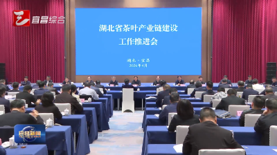 省茶叶产业链建设工作推进会召开 孙伟出席并讲话