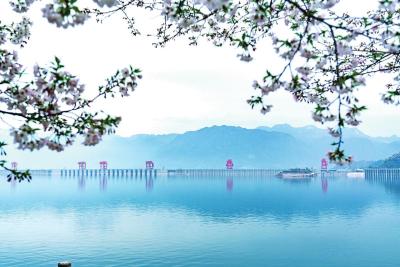 我市省级重点项目个数创新高