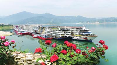 赏花踏青正当时 居民乐享好时光 