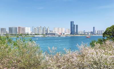 家门口的诗意“春光”