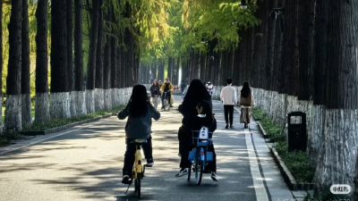 网友灵魂发问：五一假期的武汉到底是有谁在啊？！ 