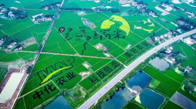 “物语”三重问春安 ——枝江问安镇一粒米、一滴水、一朵花的振兴启示录