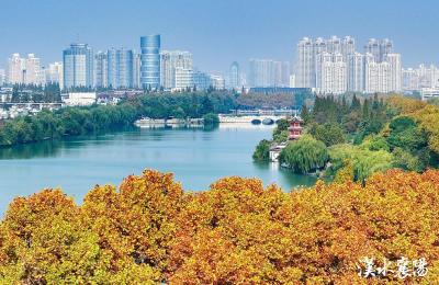 “小食堂”撬动“大民生”丨社区食堂守护幸福“食”光