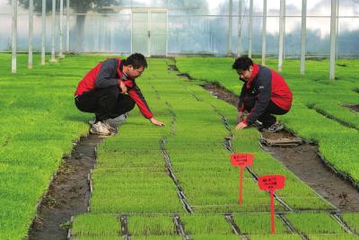 春耕育秧正当时  