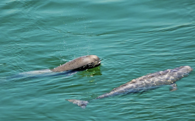 你，在守一条河