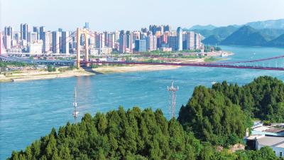 终是实战最砺人——宜昌深化拓展“干部素质提升年”一线观察 