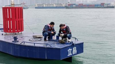 全力守护中华鲟“育儿房” 长江宜昌段布局6个监测点 
