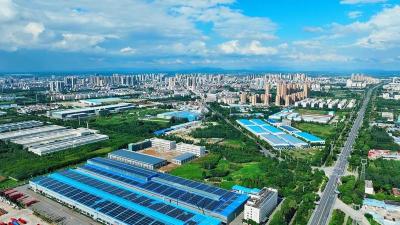 “追”了四年，“宠”出一个产业集群