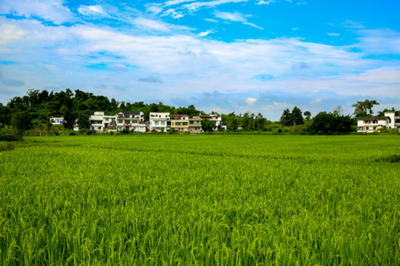 为乡村育强“职业经理人”——全省市州首个乡村CEO培训班观察