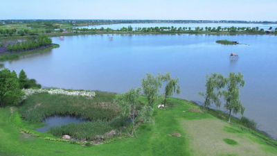 枝江一季度加工水产品逾190万公斤 