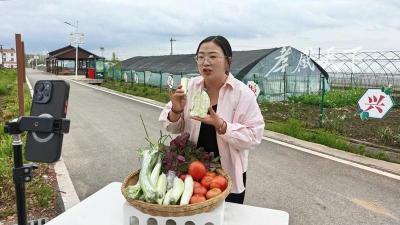 从一筐菜到一条链！孝昌蔬菜产业“链”上起舞 