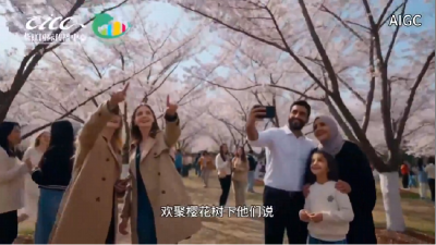世界赏樱地图正在被改写：这座中国城市，成了老外心中“性价比之王”！  