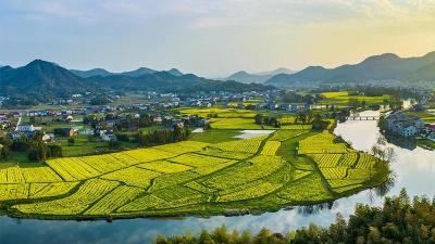 助力乡村振兴救急难 诚邀社会各界献爱心 我市“慈善一日捐”本周五启动  