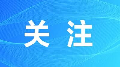 “楚才晋用”2000年后，武汉打赢“逆风局” 
