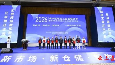 三场“春之约” 串起产业“链” ——嘉鱼产业链招商的“热力图”与“方法论”  