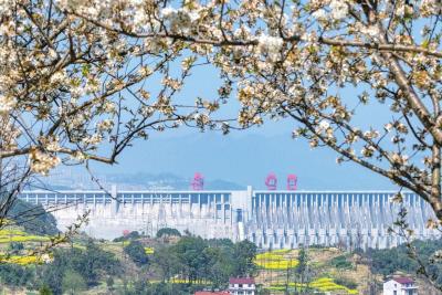 满城春色半城花