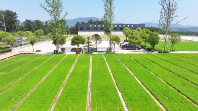 【在这片辽阔的土地上100】湖北：“科教”赋能春耕