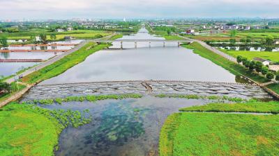 碧水绕田 绿岸映城 