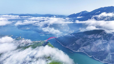 攻克百余种繁育难题 三峡库区特有珍稀植物迁地保护成活率超九成  