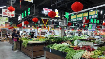 本地菜减产 外地菜补位 市民“菜篮子”供应充足、多元、稳定  