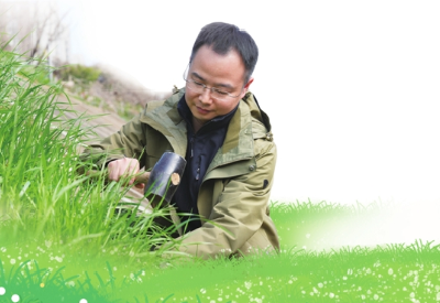 让受伤土地长回最初的模样——三峡大学教授刘大翔巧用磷石膏为裸露边坡披上绿衣 