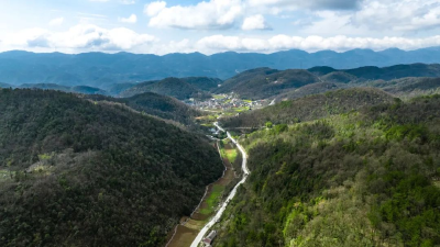 我市多地发布暴雨红色预警 五峰一水库开闸行洪 危险区域应封尽封  