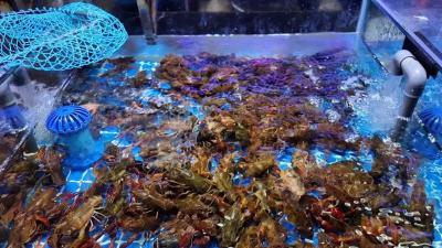 小龙虾价格腰斩 富硒新品逆势走俏  