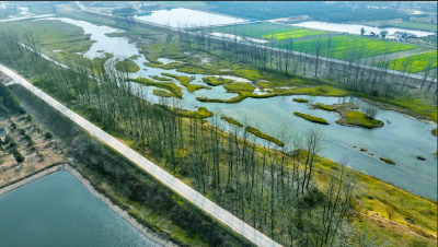 一河碧水串起三地“富美生活” ——玛瑙河流域乡村振兴示范带建设见闻