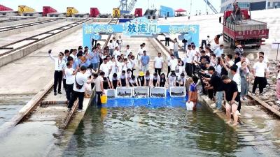 2600尾中华鲟鱼苗放归长江 