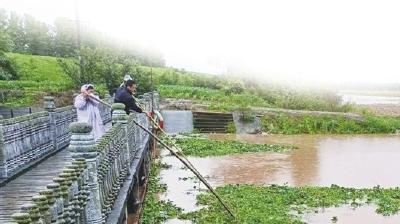 风雨同舟护安澜——宜昌各县市区全力应对强降雨纪实