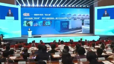 全球储能竞争已从规模竞赛转向综合较量 ——《2026中国新型储能产业发展白皮书》暨行业发展形势分析报告解读 