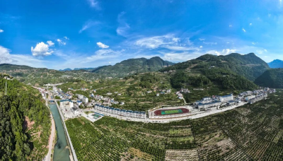 一株小草年创收逾1500万 秭归两河口镇打造艾草全产业链  