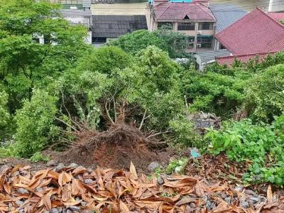 一次突发大考下的基层民生答卷