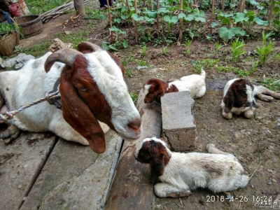 同心抗灾，温情帮扶！那些让我们记住的温暖瞬间……