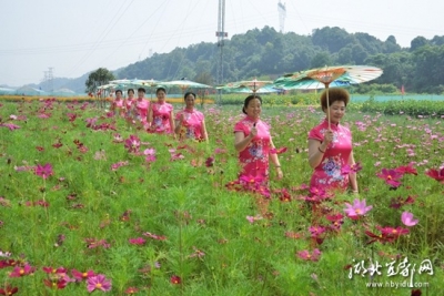 宜都又现花海，等你来欣赏