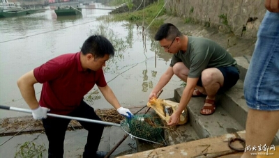 环城村志愿者开展长江岸线垃圾清理
