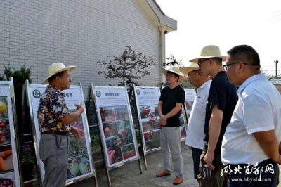 【四学一争】源丰苗木与高校达成千余人次培训合作计划