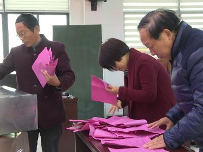 V视|九道河村选举产生新一届村党总支部委员会