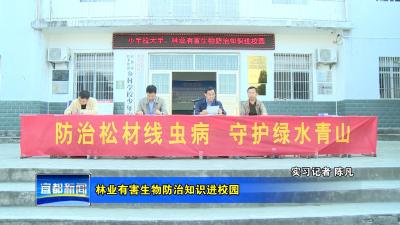 V视|林业有害生物防治知识进校园