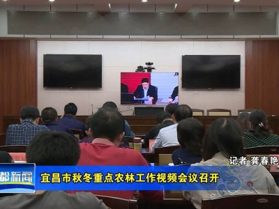 V视|宜昌市秋冬重点农林工作视频会议召开