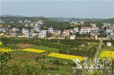 【荆楚网】“中国美丽休闲乡村”全心畈村的蝶变之路