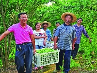 宜都生态惠民