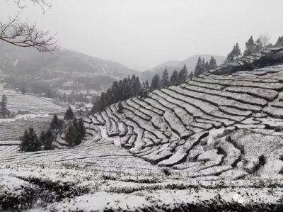 低至-5℃！雨雪冰冻天气已来袭宜都！！