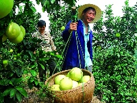 宜都生态惠民