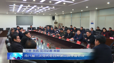 市八届三次党代会召开第二次全委会议