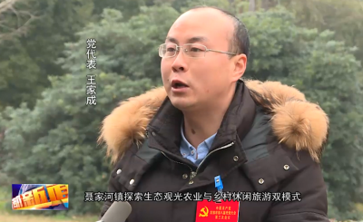 党代表热议党代会报告