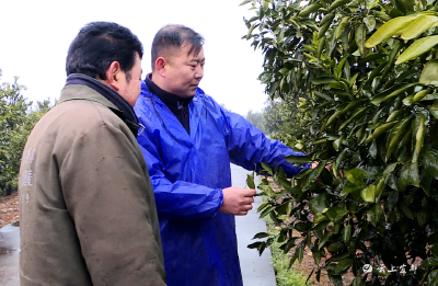 农业部门多举措做好防寒防冻工作