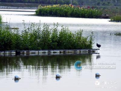【中国水利网】湖北宜都：市长督办湖泊生态修复工程
